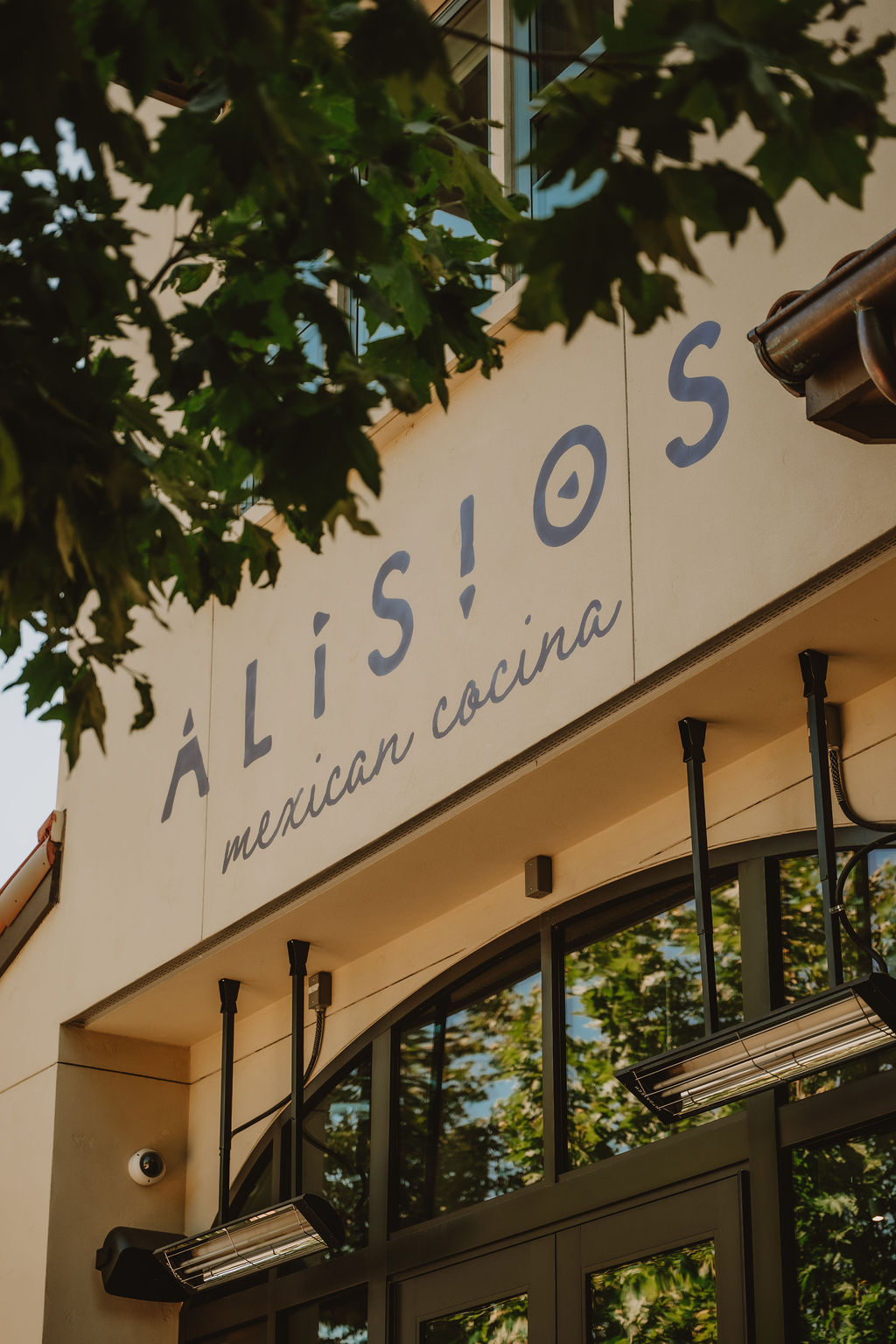 Alisios gallery photo 9